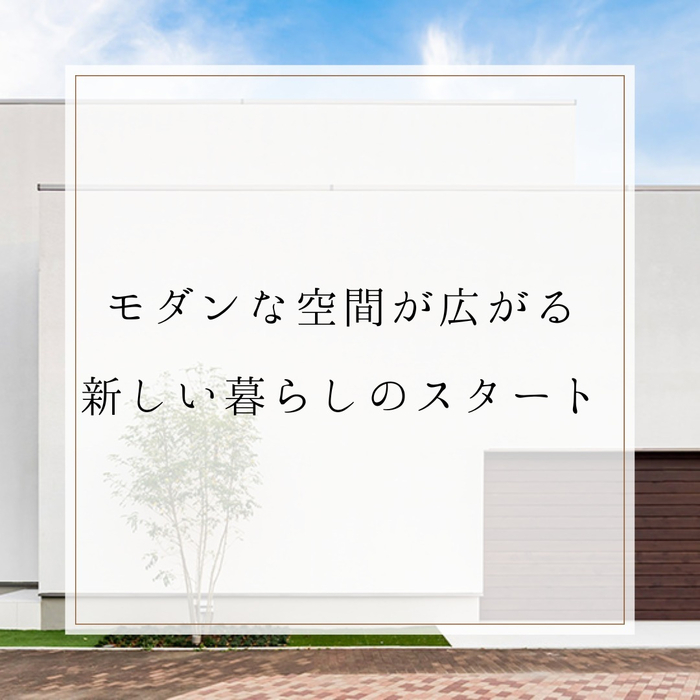 画像386