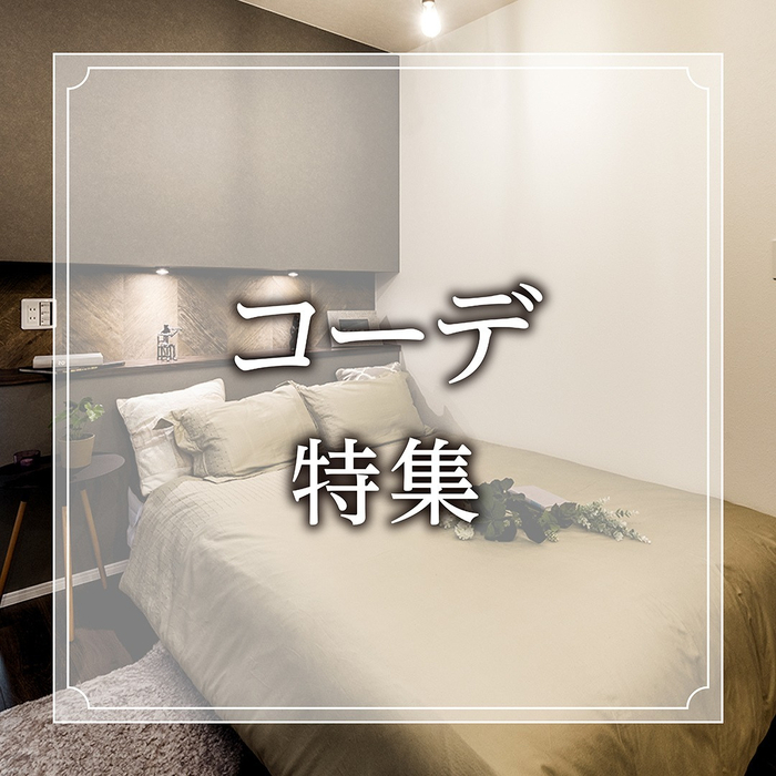画像455