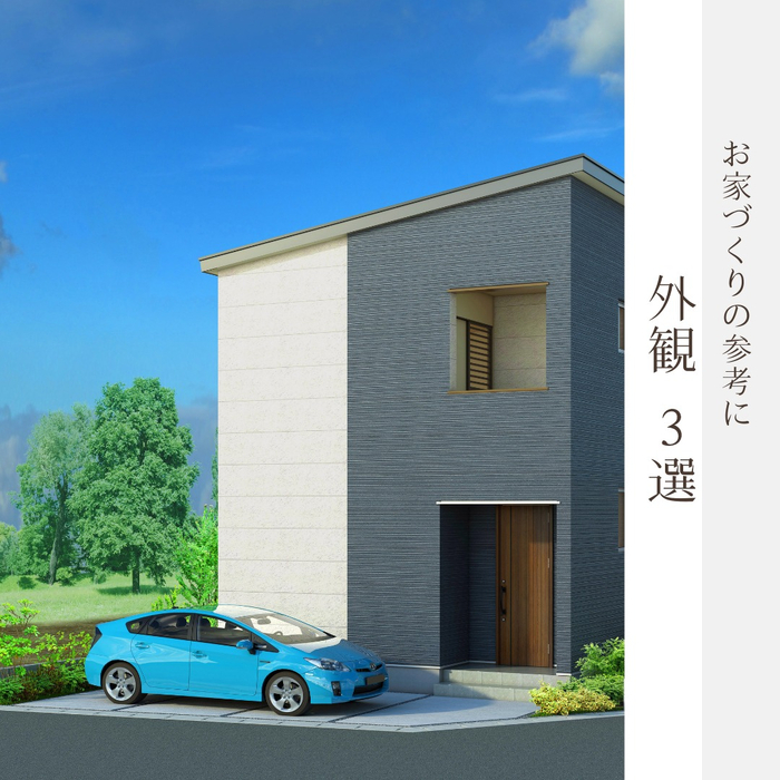 画像677